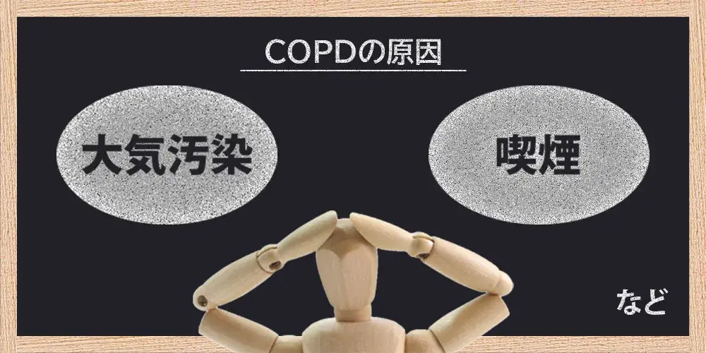 慢性閉塞性肺疾患(COPD)の原因