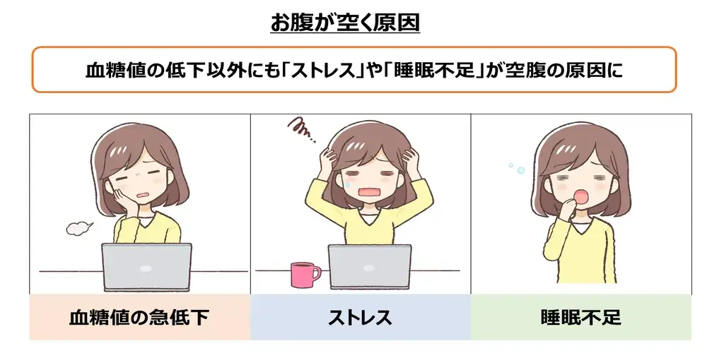 お腹が空く原因