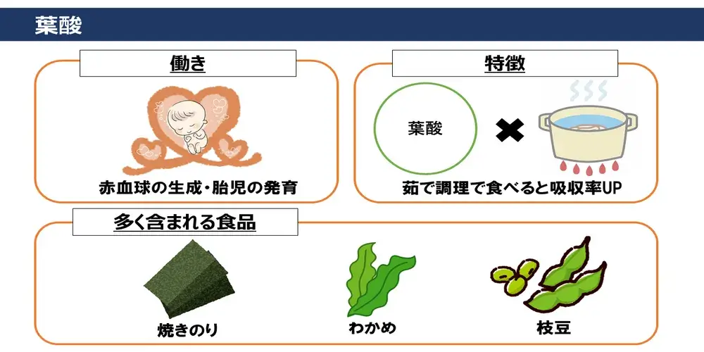 葉酸の働き・特徴・葉酸が多く含まれる食品画像