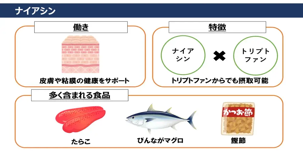 ナイアシンの働き・特徴・ナイアシンが多く含まれる食品画像