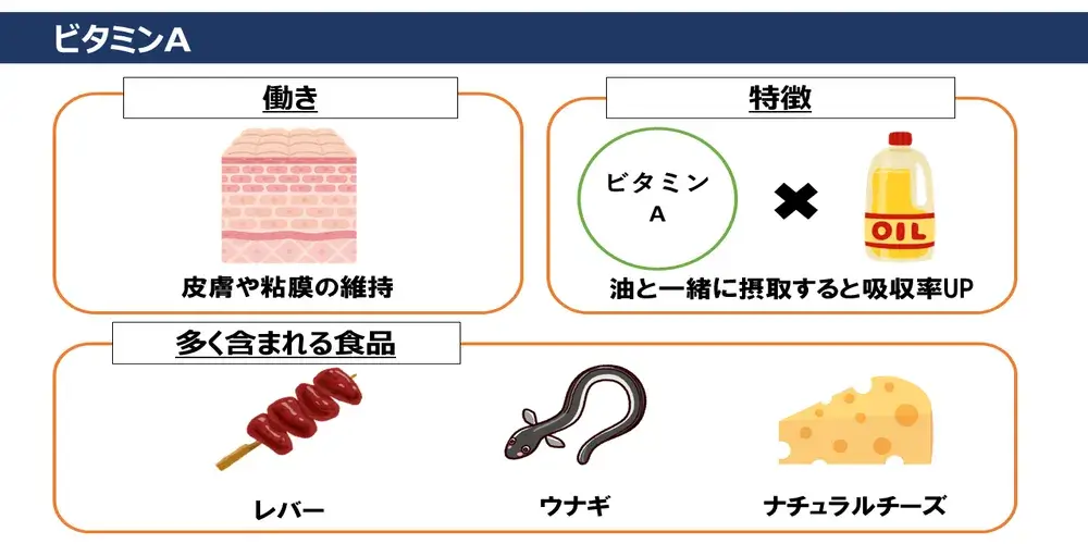 ビタミンAの働き・特徴・ビタミンAが多く含まれる食品