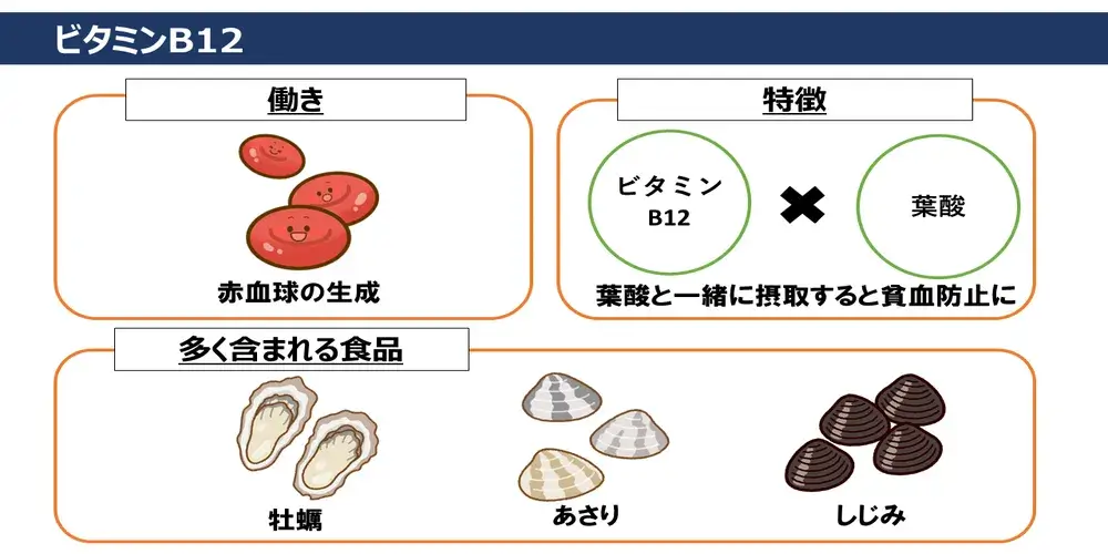 ビタミンB12の働き・特徴・ビタミンB12が多く含まれる食品画像