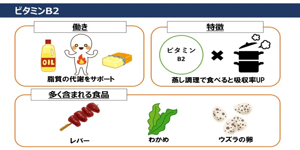 ビタミンB2の働き・特徴・ビタミンB2が多く含まれる食品画像