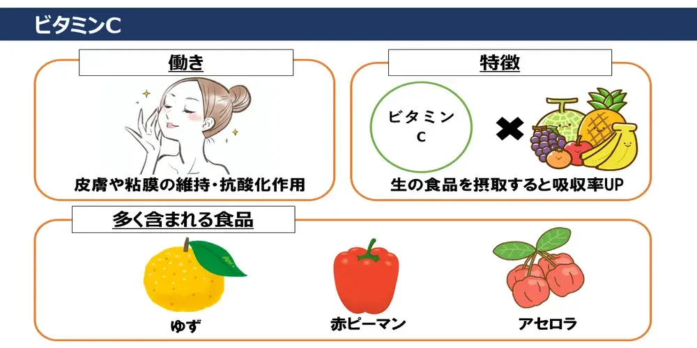 ビタミンCの働き・特徴・ビタミンCが多く含まれる食品画像