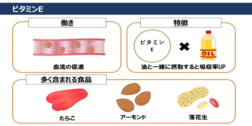 ビタミンEの働き・特徴・ビタミンEが多く含まれる食品画像