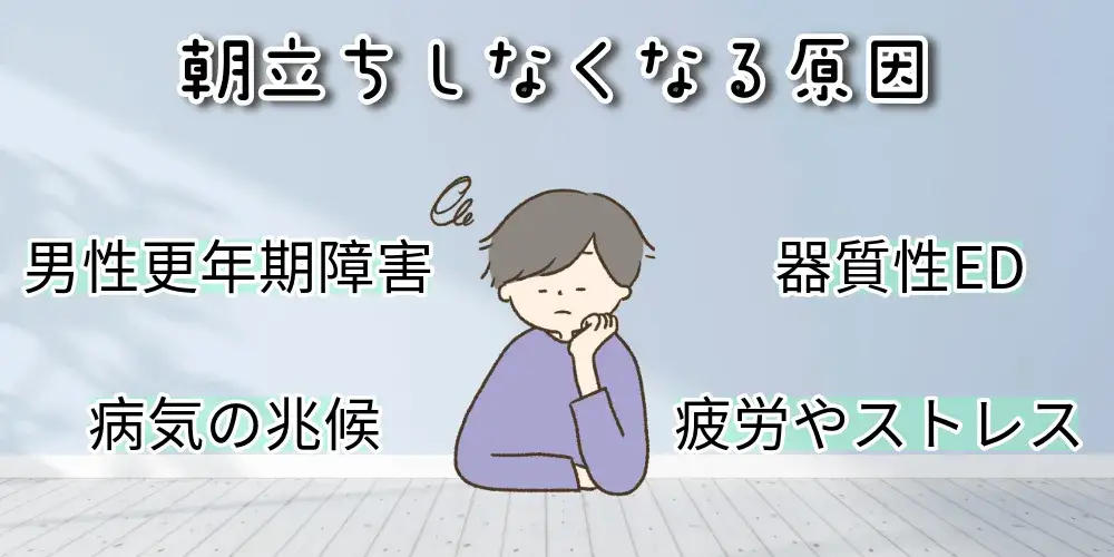 朝立ちしなくなる原因