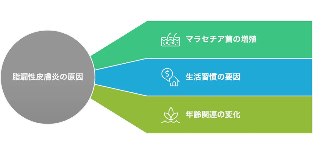 脂漏性皮膚炎の原因画像