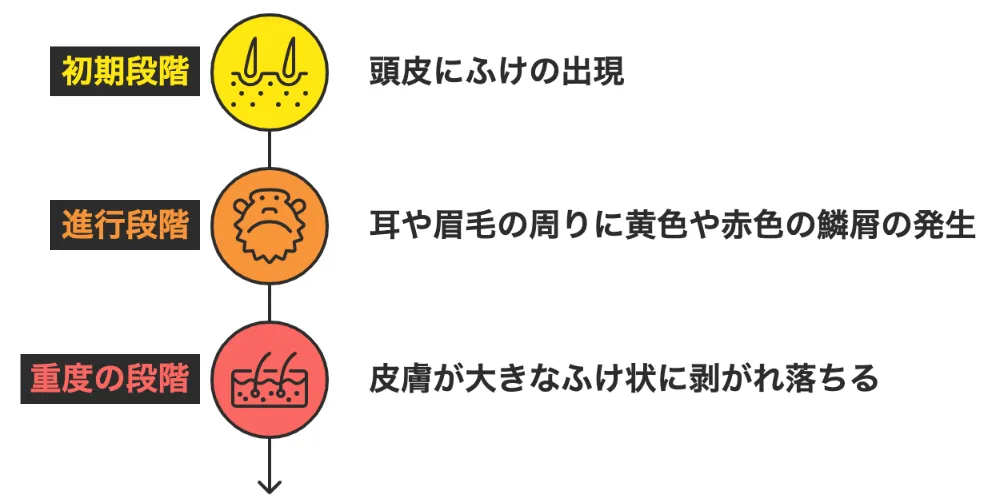 脂漏性皮膚炎の症状画像