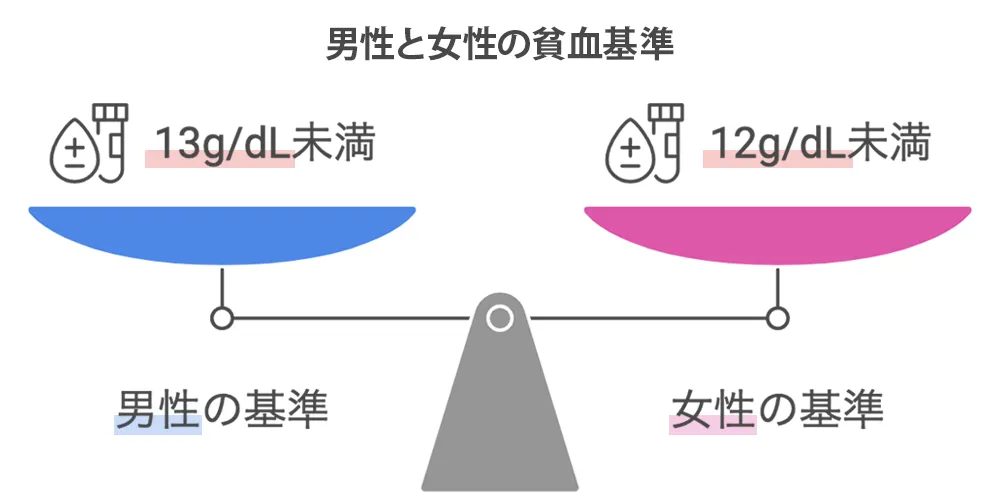 男性と女性の貧血基準画像