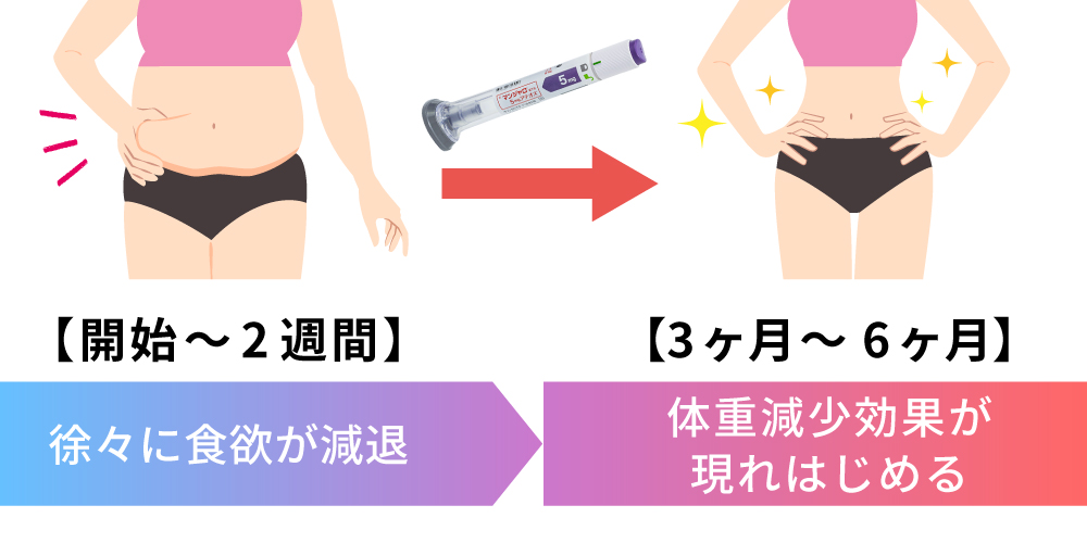 効果発現時期画像