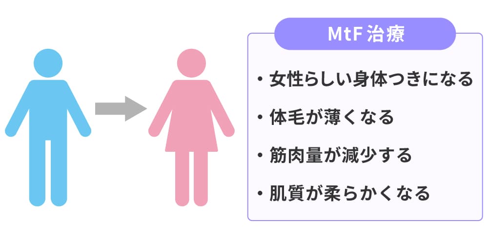 女性ホルモンの役割と効果のイメージ画像