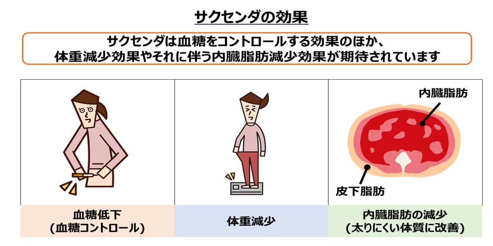 サクセンダの効果画像