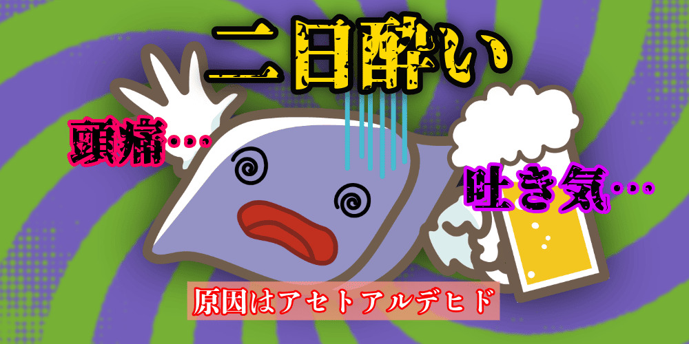 タウリンは二日酔いにも有効?