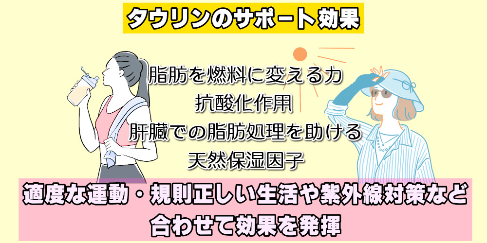 タウリンのサポート効果