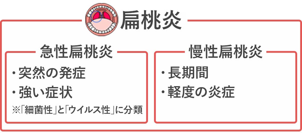 扁桃炎の種類画像