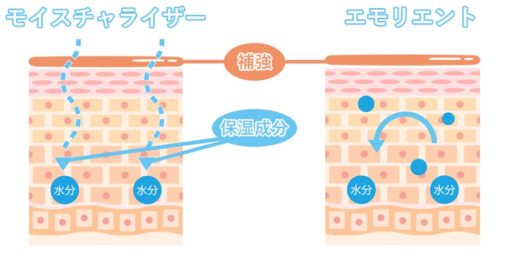 モイスチャライザーとエモリエントの違い画像