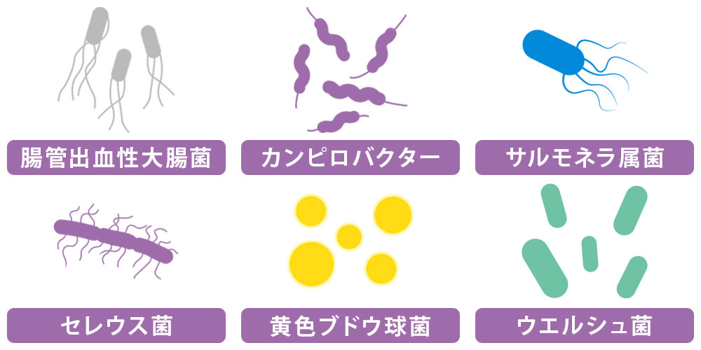 食中毒を起こす細菌画像