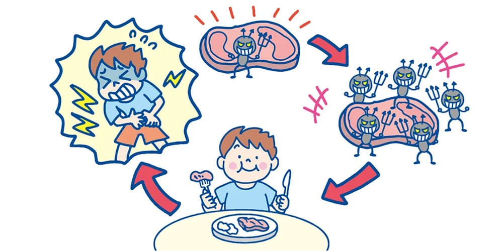 食中毒とは?画像