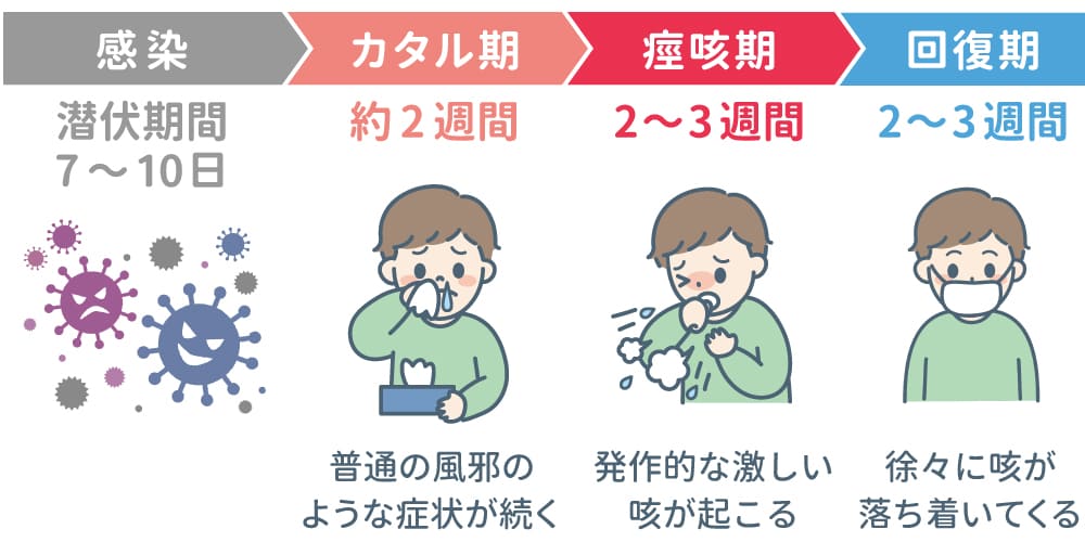 百日咳の症状のイメージ画像
