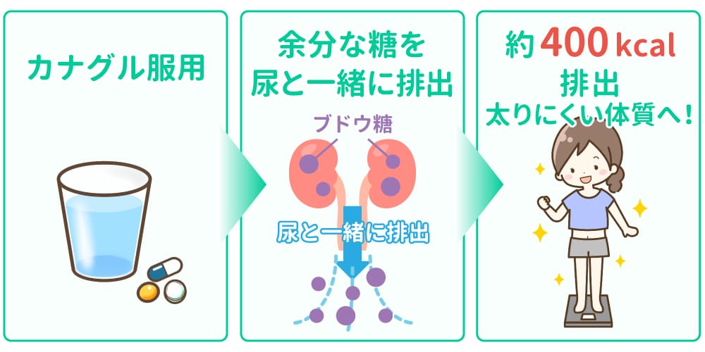 カナグルのダイエット効果イメージ画像