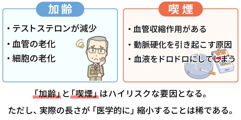 男性器が小さくなる原因
