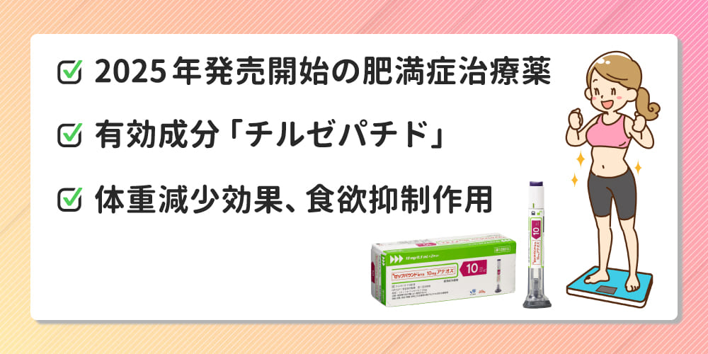 ゼップバウンドとは画像