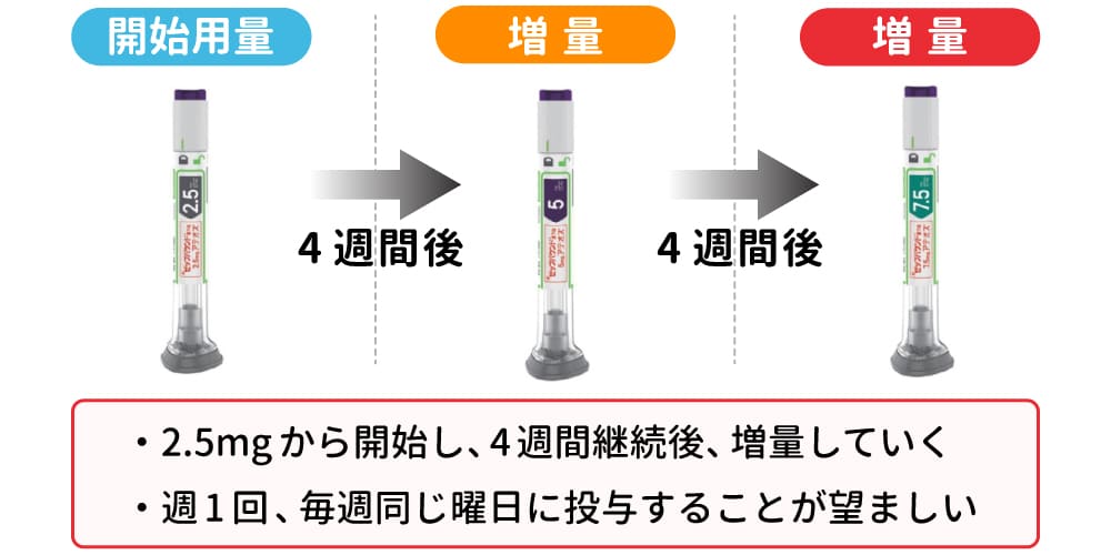 ゼップバウンドの使い方