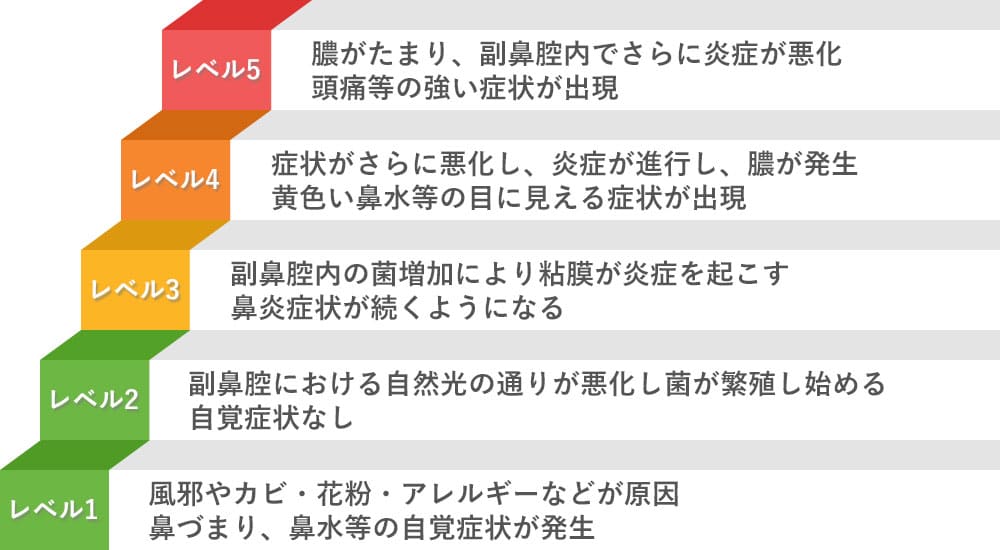 副鼻腔炎の症状のレベル画像