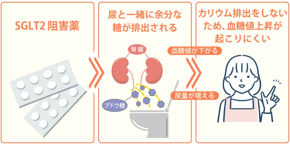 血糖値を上げにくい利尿薬　SGLT2阻害薬画像