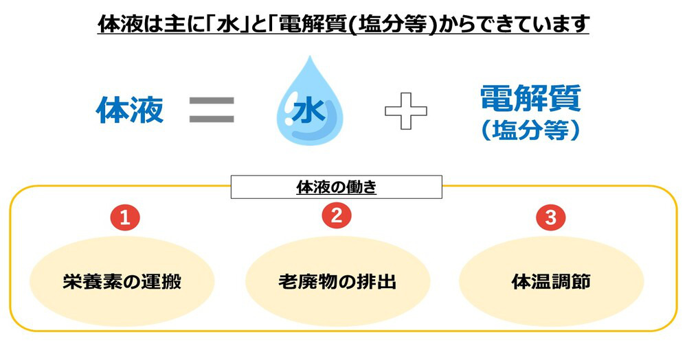 体液の働き画像