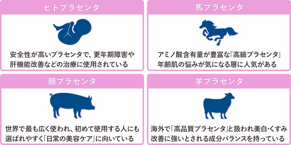 プラセンタの種類画像