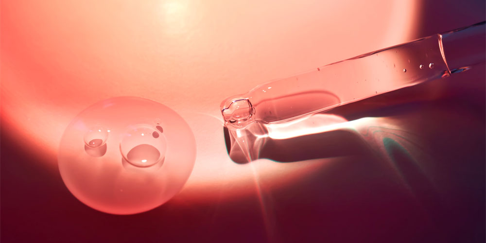 プラセンタとは？効果と安全性画像