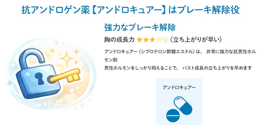 抗アンドロゲン薬【アンドロキュアー】はブレーキ解除役画像