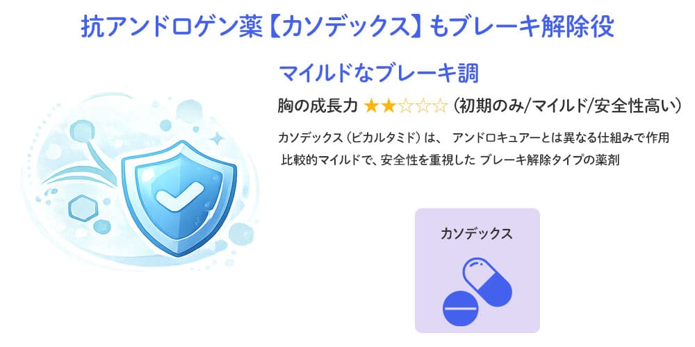 抗アンドロゲン薬【カソデックス】もブレーキ解除役画像
