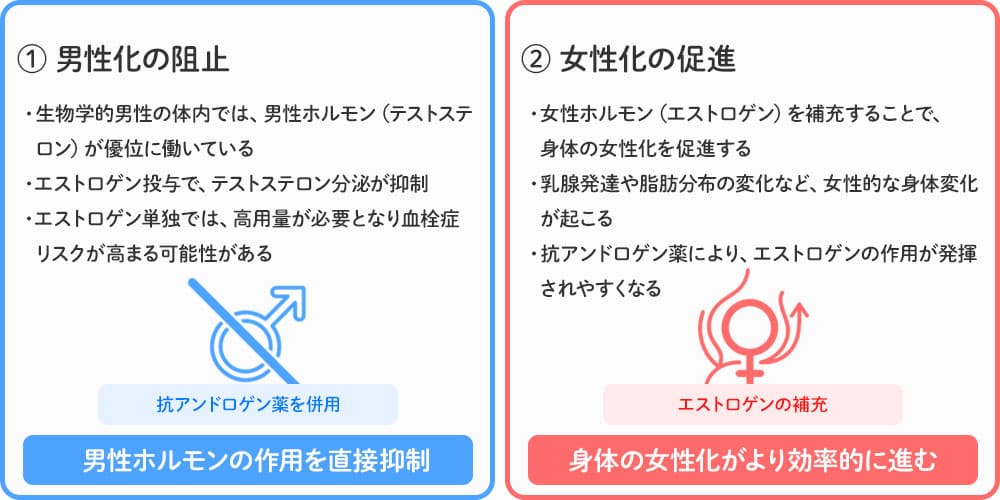 MtFホルモン療法の基本画像