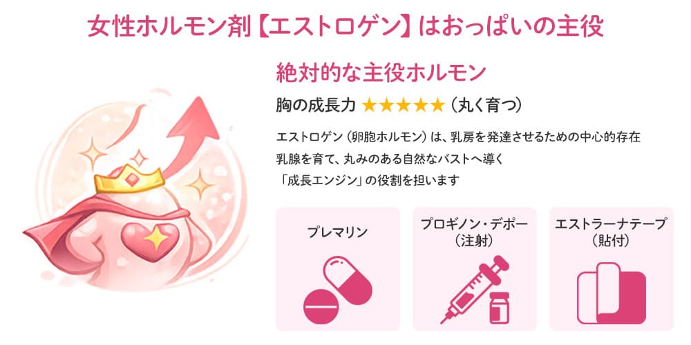 女性ホルモン剤【エストロゲン】はおっぱいの主役画像