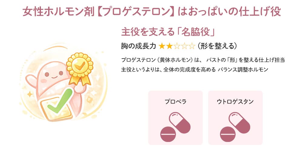 女性ホルモン剤【プロゲステロン】はおっぱいの仕上げ役画像