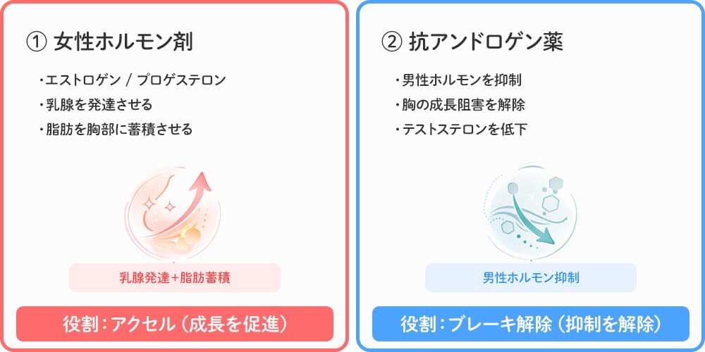 ホルモン療法のグループ分け画像