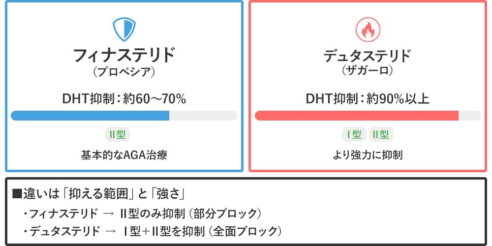フィナステリドとデュタステリドの違い画像