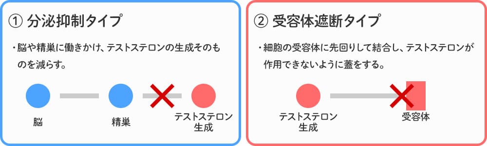 抗アンドロゲン薬とは?画像