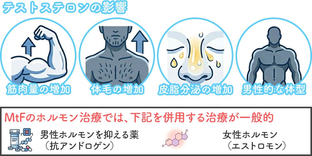 男性ホルモンを抑えると女性化できるのか画像