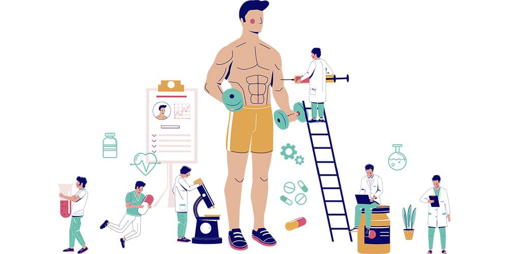 男性ホルモン（テストステロン）とは画像