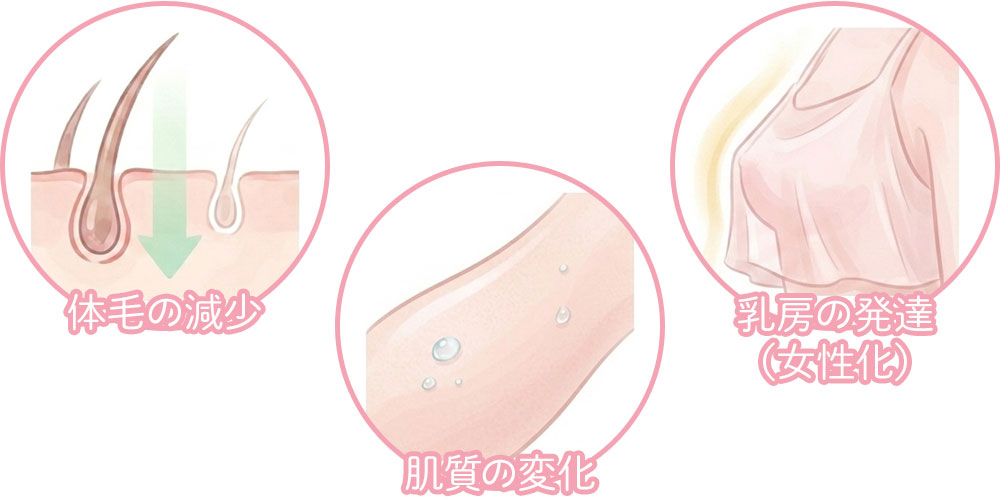 ビカルタミドとは？女性化目的で使われる理由画像