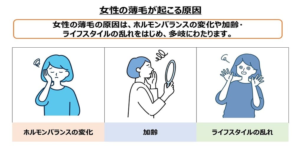 女性の薄毛が起こる原因