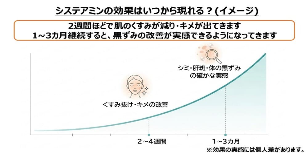 システアミンの効果はいつから現れる？画像