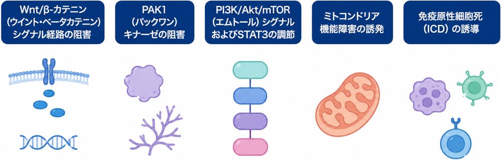 イベルメクチンの作用メカニズム画像