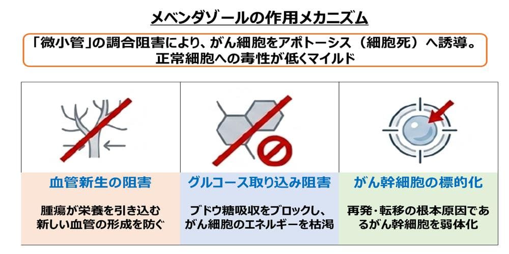 メベンダゾールの作用メカニズム画像