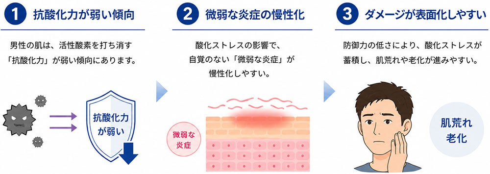 男性の肌は酸化ストレスの影響を受けやすい画像