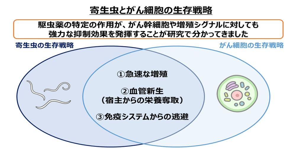 寄生虫とがん細胞の生存戦略画像