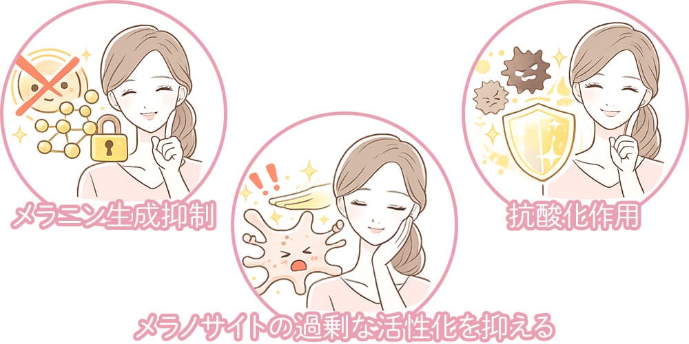 システアミンの効果と働き画像